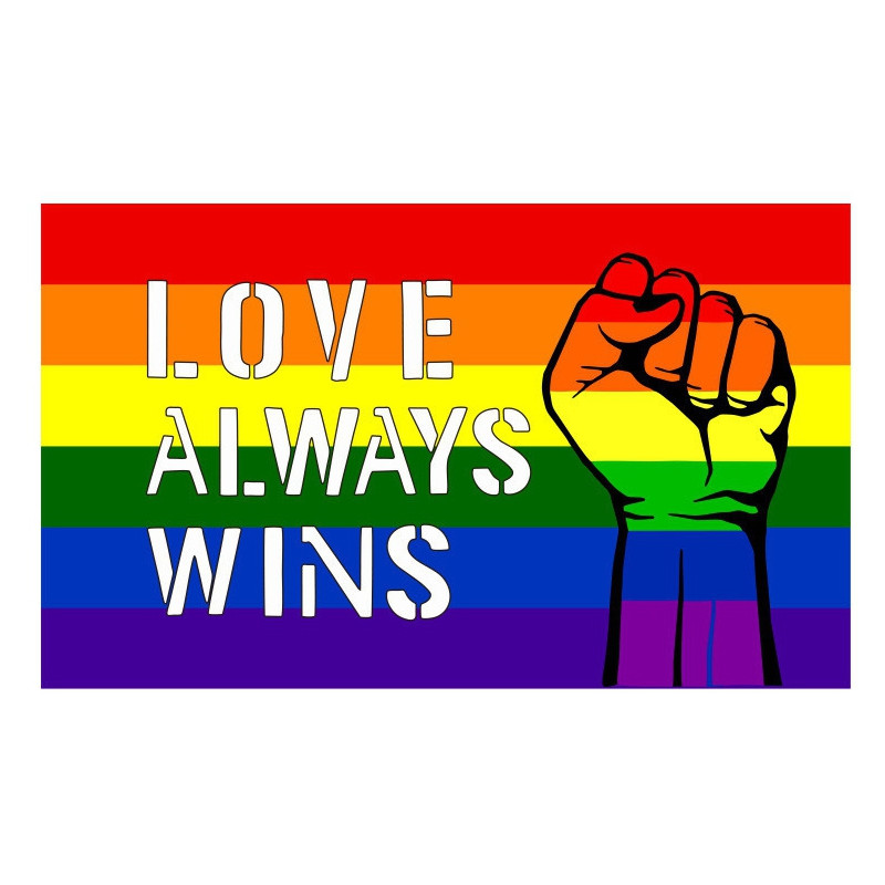 Generique Drapeau Rainbow Love Always Wins 90 x 150cm